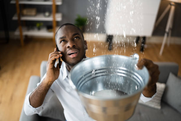 Best Flooded house restoration  in Parker, AZ