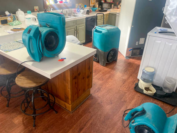 Best Local water damage restoration  in Parker, AZ