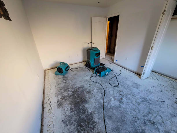 Best Ceiling water damage repair  in Parker, AZ