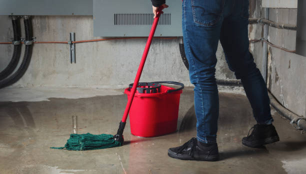 Best Fire Damage Restoration  in Parker, AZ