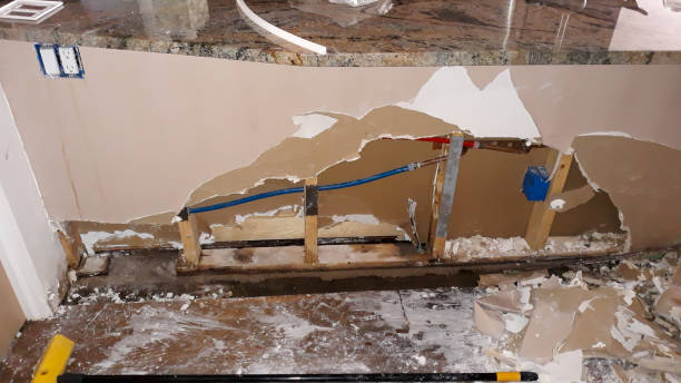 Best Ceiling water damage repair  in Parker, AZ