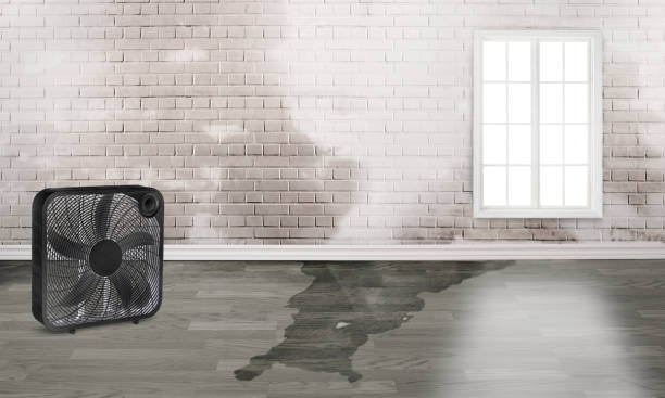 Best 24-hour water damage restoration  in Parker, AZ