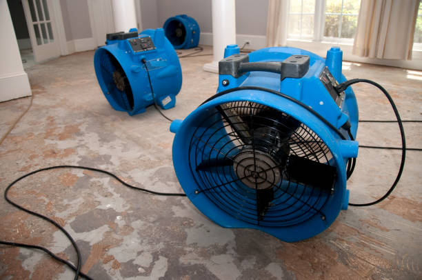 Reliable Parker, AZ Water damage restoration Solutions