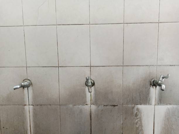 Best Water damage restoration near me  in Parker, AZ