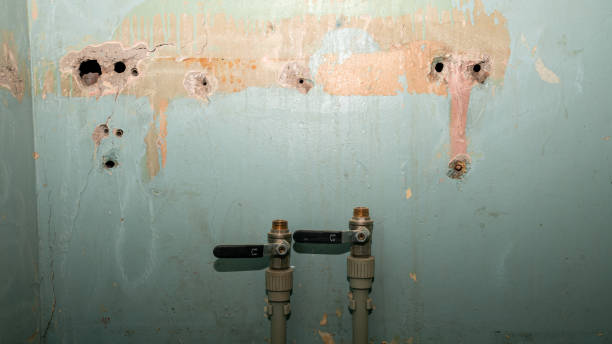 Best Water damage restoration company  in Parker, AZ