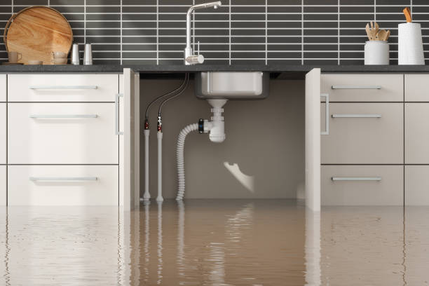 Water damage restoration mold remediation in Parker, AZ